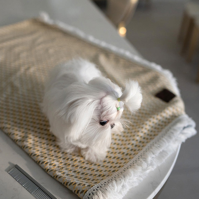 LOLA - Image 4